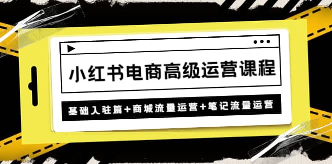 小红书电商高级运营课程：基础入驻篇+商城流量运营+笔记流量运营-资源大全网