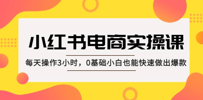 小红书·电商实操课：每天操作3小时，0基础小白也能快速做出爆款-资源大全网