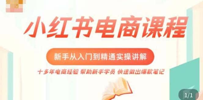 小红书电商新手入门到精通实操课，从入门到精通做爆款笔记，开店运营-资源大全网