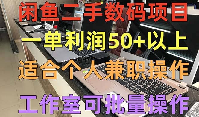 闲鱼二手数码项目，个人副业低保收入，工作室批量放大操作-资源大全网