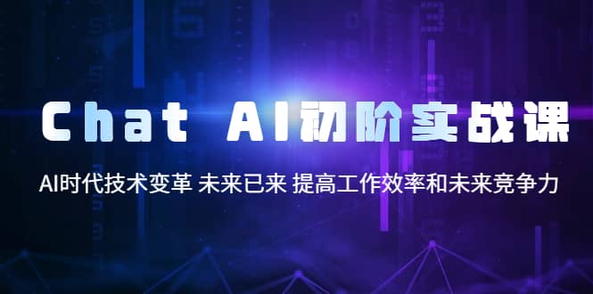 Chat AI初阶实战课，AI时代技术变革 未来已来 提高工作效率和未来竞争力-资源大全网