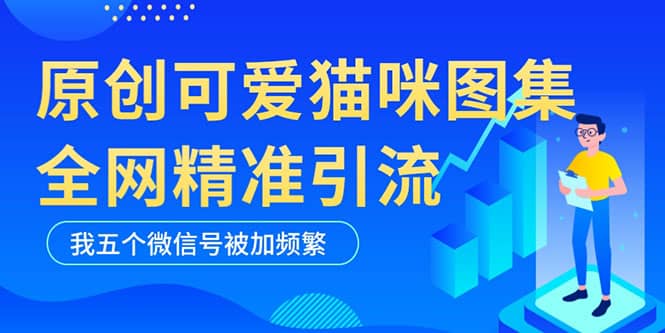 黑科技纯原创可爱猫咪图片，全网精准引流，实操5个VX号被加频繁-资源大全网