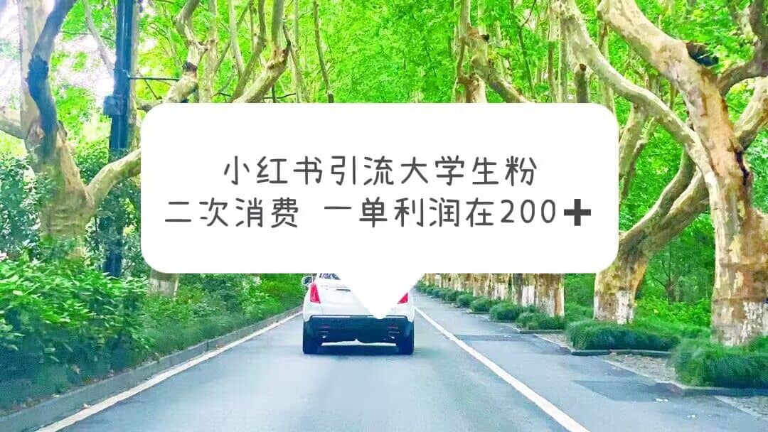 小红书引流大学生粉，变现项目，一单利润在200+（教程+资源）-资源大全网