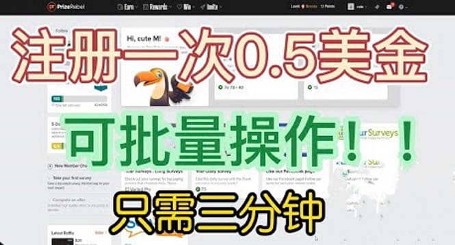 国外项目注册一次0.5美金 只需三分钟无脑操作 可批量放大 小白工作室福利-资源大全网