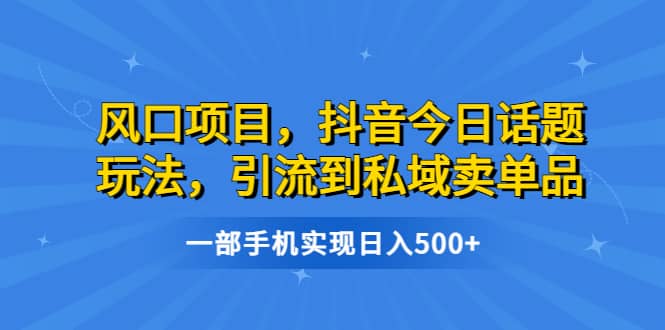 风口项目，抖音今日话题玩法，引流到私域卖单品，一部手机实现日入500+-资源大全网