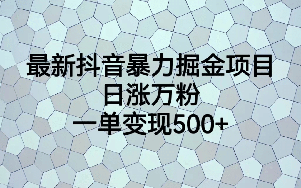 最火热的抖音暴力掘金项目，日涨万粉，多种变现方式，一单变现可达500+-资源大全网