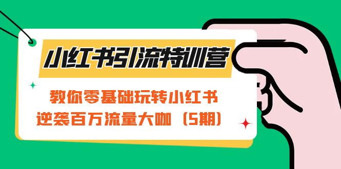 小红书引流特训营-第5期：教你零基础玩转小红书，逆袭百万流量大咖-资源大全网