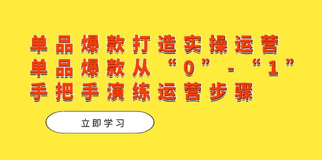 单品爆款打造实操运营，单品爆款从“0”-“1”手把手演练运营步骤-资源大全网