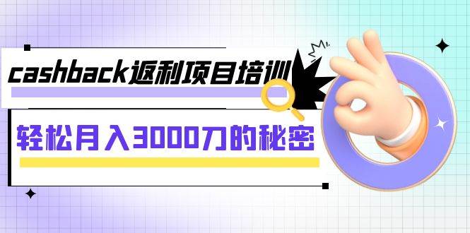 cashback返利项目培训：轻松月入3000刀的秘密（8节课）-资源大全网