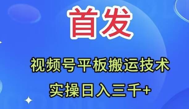 全网首发：视频号平板搬运技术，实操日入三千＋-资源大全网