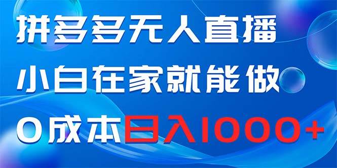 拼多多无人直播，小白在家就能做，0成本日入1000+-资源大全网