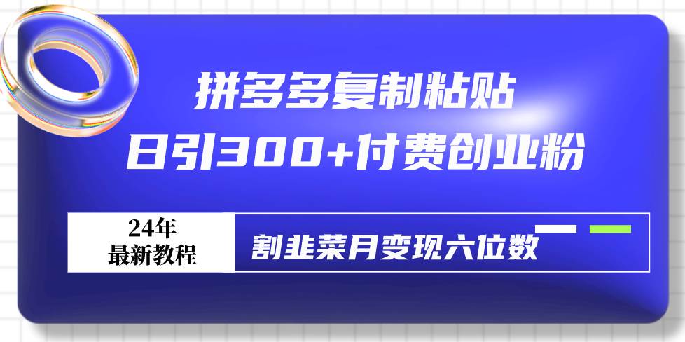 拼多多复制粘贴日引300+付费创业粉，割韭菜月变现六位数最新教程！-资源大全网