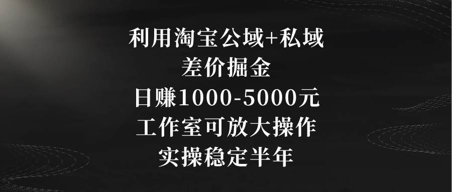 利用淘宝公域+私域差价掘金，日赚1000-5000元，工作室可放大操作，实操…-资源大全网