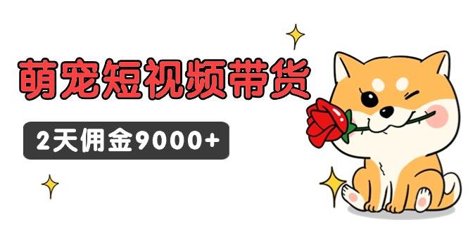 东哲日记·萌宠短视频带货，2天佣金9000+-资源大全网