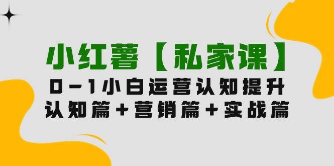 小红薯【私家课】0-1玩赚小红书内容营销，认知篇+营销篇+实战篇（11节课）-资源大全网