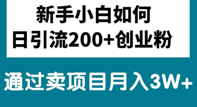 新手小白日引流200+创业粉,通过卖项目月入3W+-资源大全网