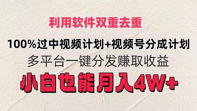 利用软件双重去重，100%过中视频+视频号分成计划小白也可以月入4W+-资源大全网