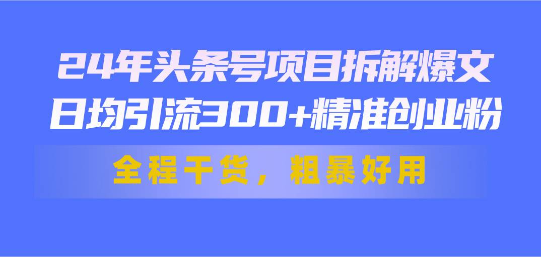 24年头条号项目拆解爆文，日均引流300+精准创业粉，全程干货，粗暴好用-资源大全网