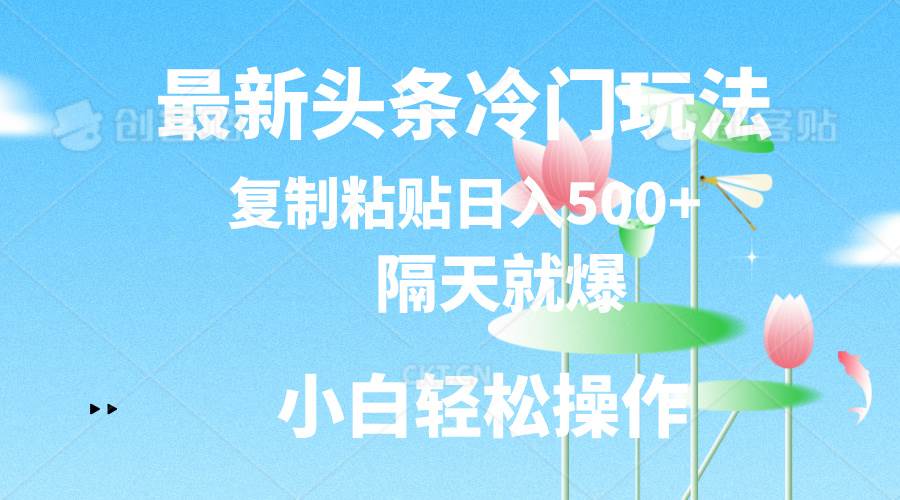 最新头条冷门玩法，隔天就爆，复制粘贴日入500+-资源大全网