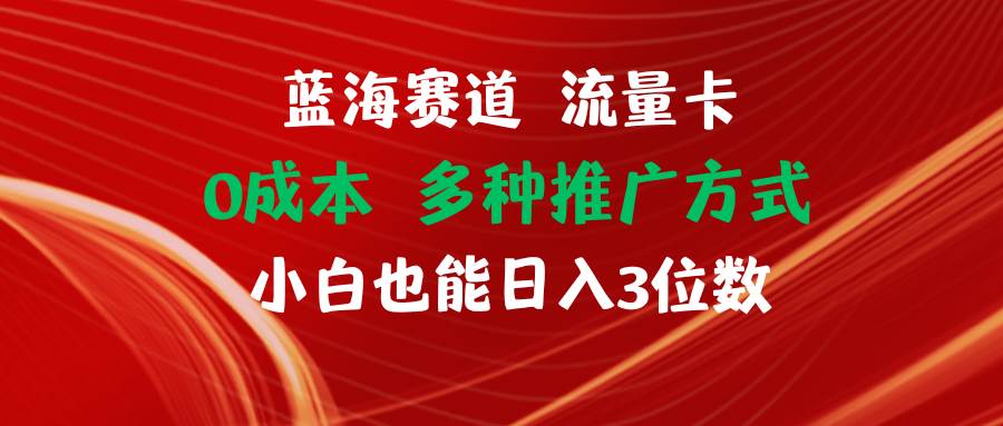 蓝海赛道 流量卡 0成本 小白也能日入三位数-资源大全网