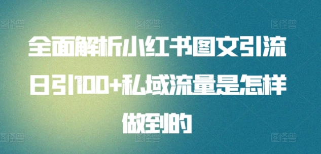 全面解析小红书图文引流日引100私域流量是怎样做到的-资源大全网