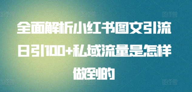 日引流100私域流量小红书图文是怎样做到的全面解析-资源大全网