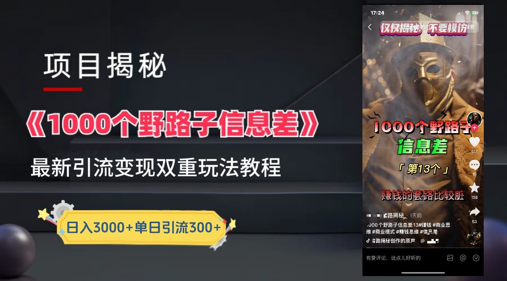 一千个野路子信息差24年最新玩法教程附带变现方法和引流的玩法具体拆解-资源大全网