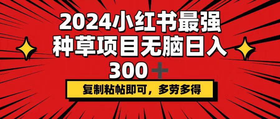 2024小红书最强种草项目，无脑日入300+，复制粘帖即可，多劳多得-资源大全网