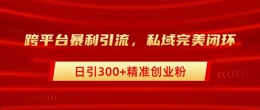 跨平台暴力引流，私域完美闭环，日引300+精准创业粉-资源大全网