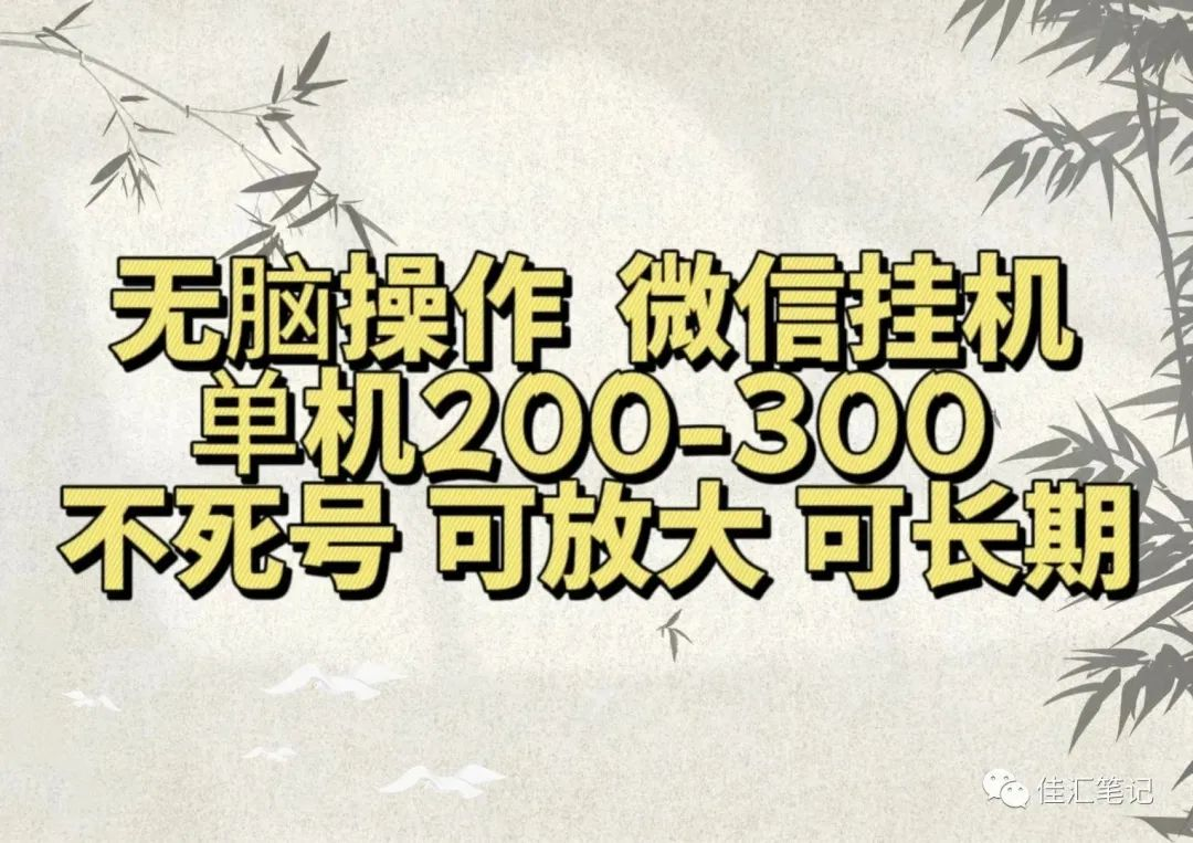 无脑操作微信视频号挂机单机200-300一天，不死号，可放大，工作室实测-资源大全网