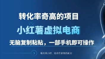 一单49.9，转化率奇高的项目，冷门暴利的小红书虚拟电商-资源大全网