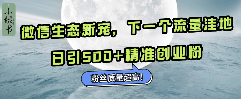 微信生态新宠小绿书：下一个流量洼地，粉丝质量超高，日引500+精准创业粉，-资源大全网