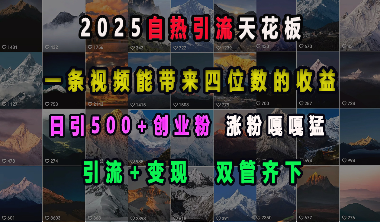 2025自热引流天花板，一条视频能带来四位数的收益，引流+变现双管齐下，日引500+创业粉，涨粉嘎嘎猛-资源大全网