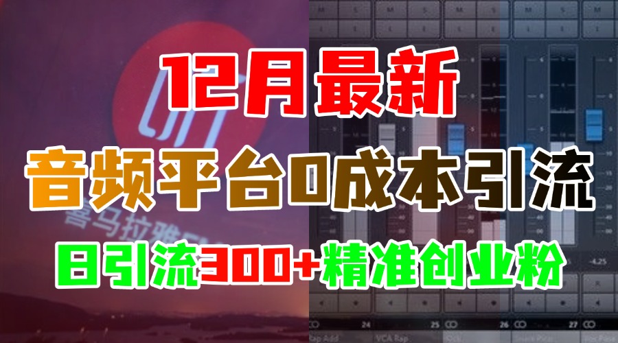 12月最新：音频平台0成本引流，日引300+精准创业粉-资源大全网