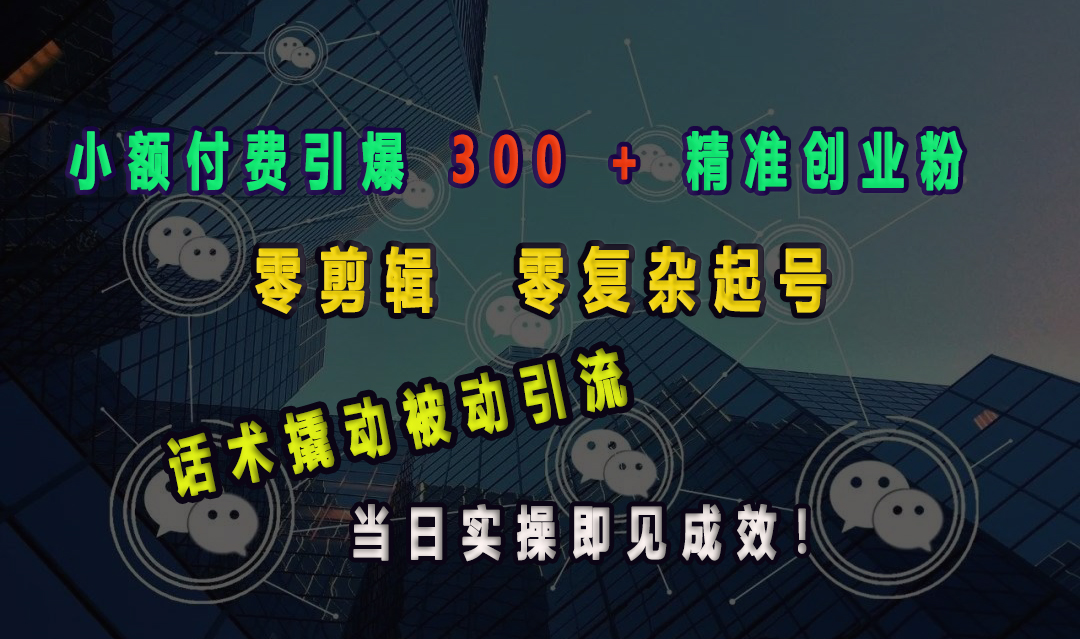 小额付费引爆 300 + 精准创业粉，零剪辑、零复杂起号，话术撬动被动引流，当日实操即见成效！-资源大全网